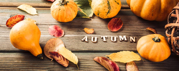 istock Autumn pumpkin thanksgiving background 1268692612