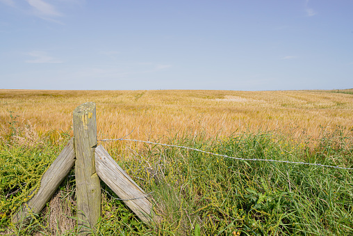 cotswold soil farmland autumn earth landscape agriculture scenic footpath