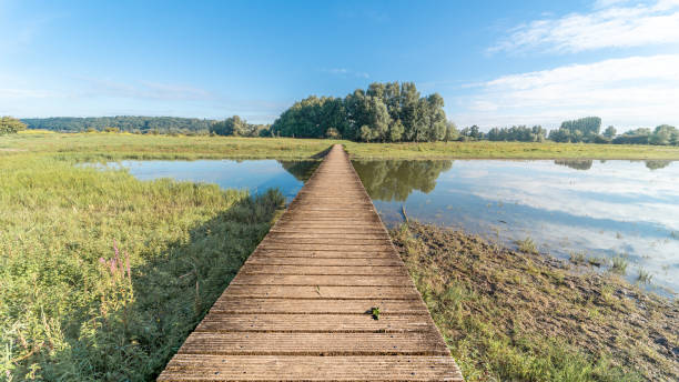 istock Sightseeing, landscape, bridge, blue sky, water, freedom, grass, trees, flowers 1268696478