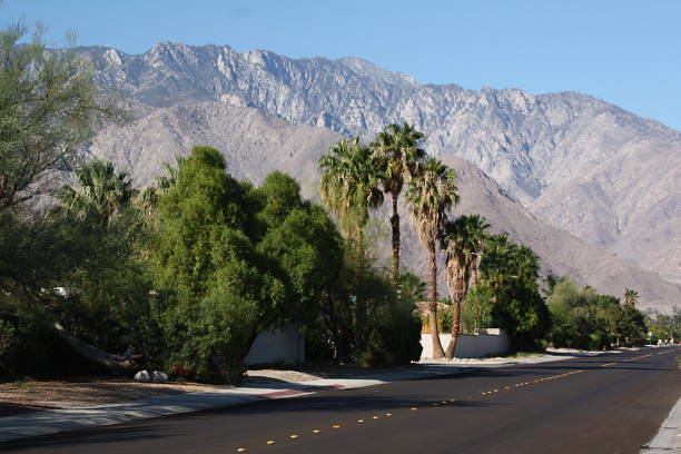 istock Palm Springs - California 1268703848