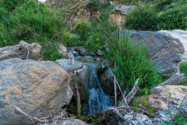 istock water flowing through a river surrounded by vegetation 1268703867