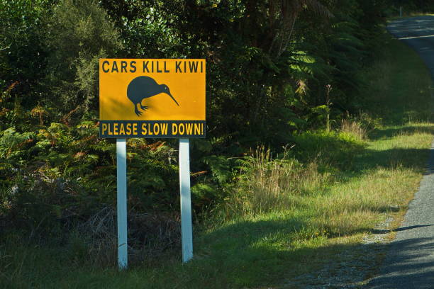 предупреждающий знак на дороге в окарито, западное побережье на южном острове новой зеландии - okarito lagoon стоковые фото и изображения