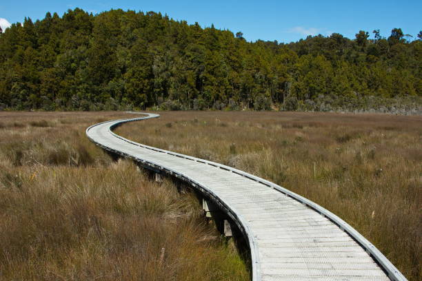 caminhada de okarito trig em okarito, costa oeste na ilha sul da nova zelândia - okarito lagoon - fotografias e filmes do acervo