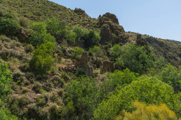 istock mountainous landscape in southern Spain 1268705038