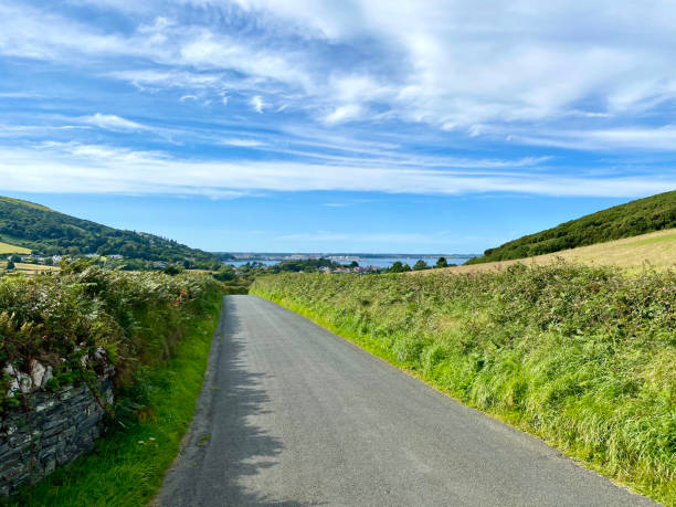 estrada rural para ramsey isle of man - grass shoulder rural scene road wildflower - fotografias e filmes do acervo