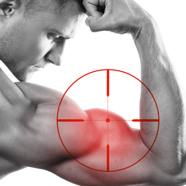 How Does Creatine Increase Muscle Mass Over Time combat creatine