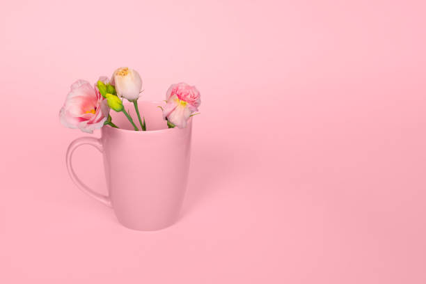 istock Pink Eustoma flowers in the pink cup 1268721108