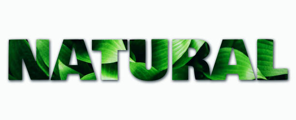 istock Inscription Natural made with green leaves texture. Tropical leaf background. Text for your design. Banner. Top view 1268721475