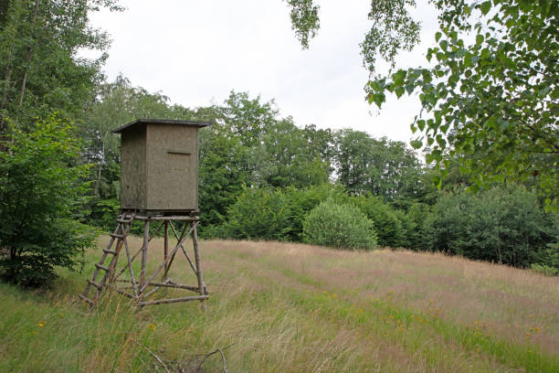 istock Hunter shelter in the forest for wildlife observation, Czech Republic 1268727115