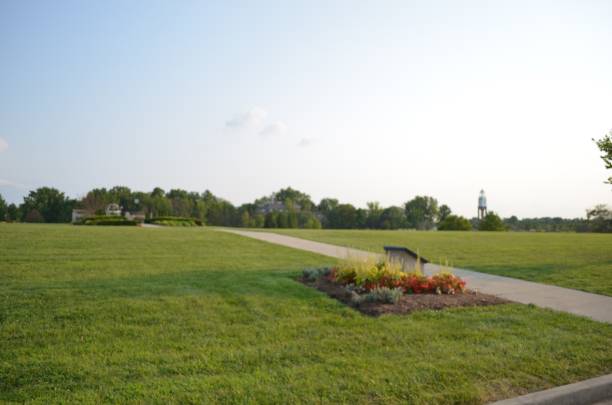istock Green Field with flowers and cement structure in the background 1268727504