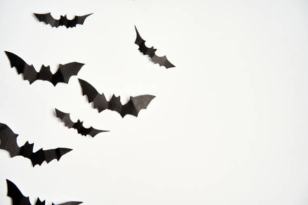 istock Halloween decoration concept black paper bats white cardboard background 1268728035
