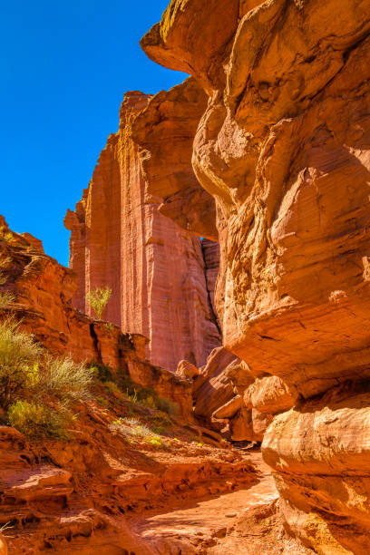 istock Talampaya National Park, La Rioja, Argentina 1268732143