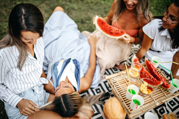istock Friends having picnic in nature 1268740474