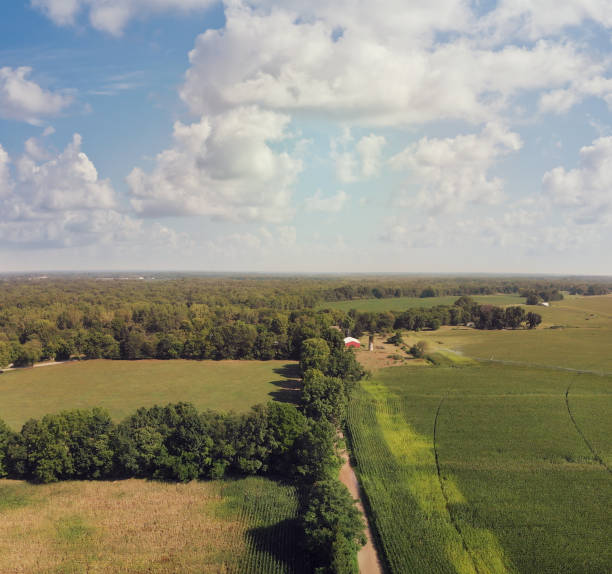 istock Countryside with farm fields and a dirt road. Aerial view. 1268741744