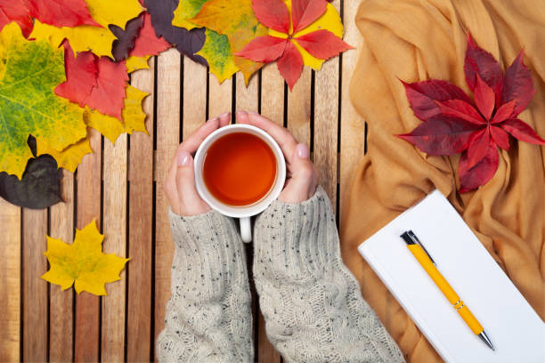 istock Autumn leaves, white notebook, pen, tea cup in female hands 1268743031