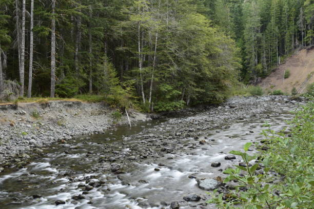 istock River Full Of Rocks Going Through Mountainous Forest 1268743207