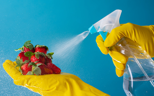 Gloved hands disinfecting Strawberries with water dilution spray