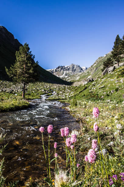 istock the high mountains of the Caucasus 1268756130