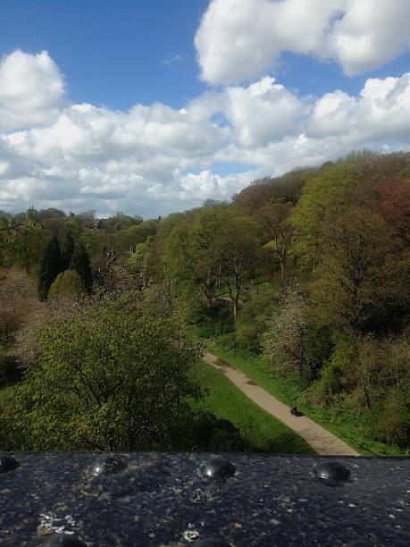 Jesmond Dene, England Beautiful park, with streams and even a waterfall jesmond stock pictures, royalty-free photos & images