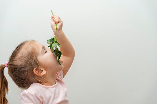 a three-year-old girl holds a sprig of parsley on her outstretched arm and bites off the greens. light smooth background. profile view. large copy space