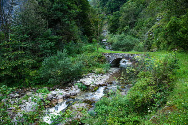 Panorama of a stream in mountains