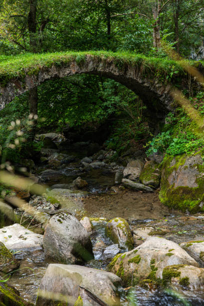 istock Panorama of a stream in mountains 1268778350