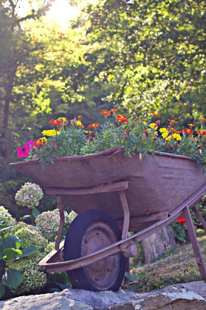 istock Cart with flowers 1268778362