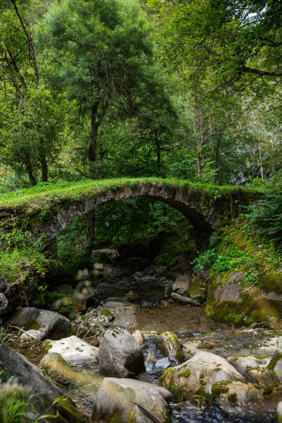 istock Panorama of a stream in mountains 1268778383