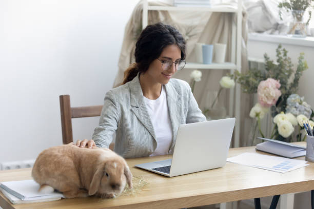 istock Happy young female entrepreneur enjoying workday with funny fluffy rabbit. 1268788617
