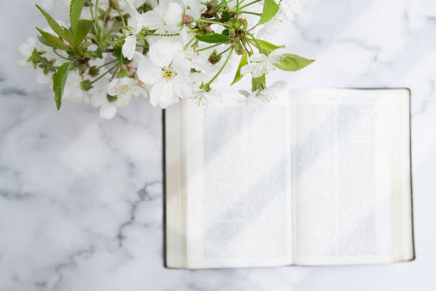 istock Flowering branches and an open holy bible in the background. Bible study concept 1268837611