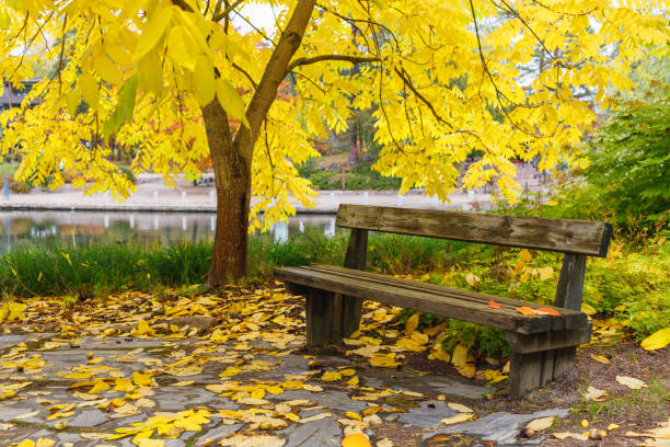 istock Bench in the autumn park. 1268851198