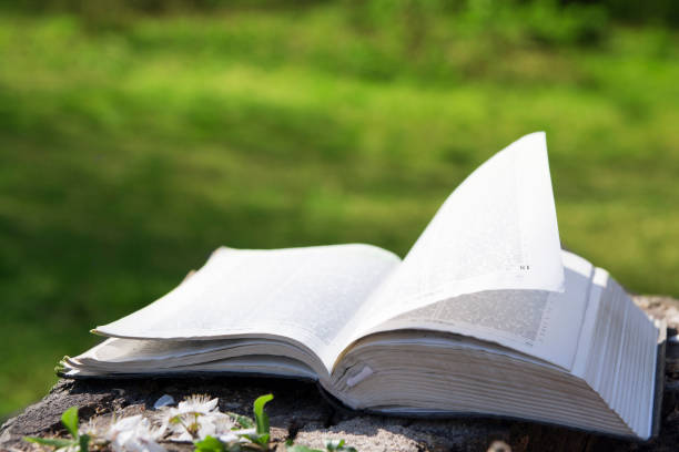 istock Open bible on a green spring background. Copy space for your text or quote. 1268854914