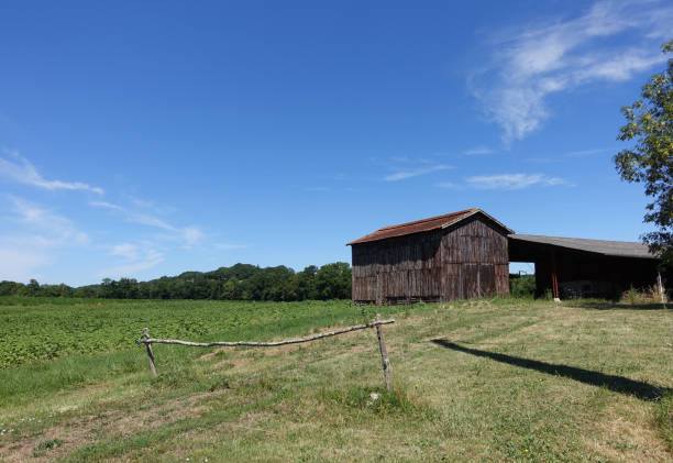 istock An old tobacco barn 1268854922