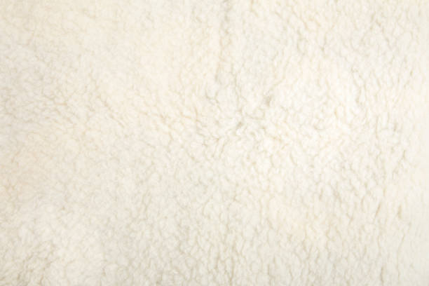 Top view of white soft sheepskin textile plaid. Warm cozy background. Top view of white soft sheepskin textile plaid. Warm cozy background. fleece photos stock pictures, royalty-free photos & images