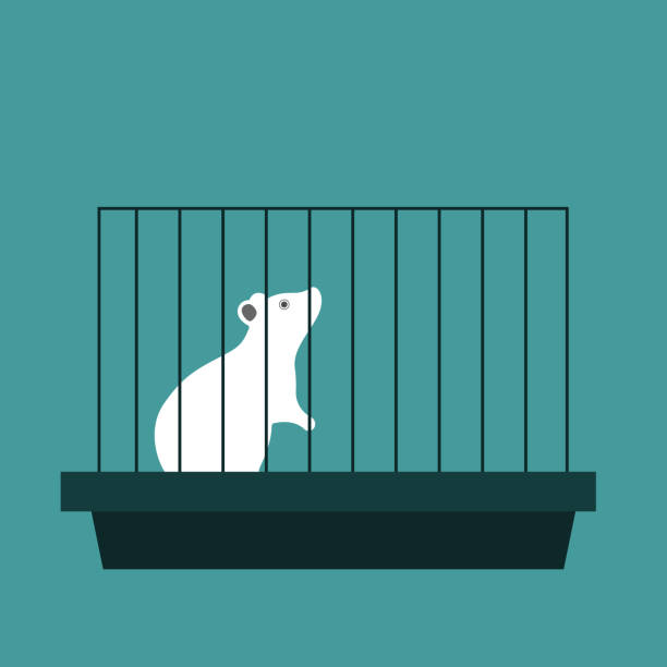 experimental laboratory white mouse in a cage. flat vector illustration on blue background experimental laboratory white mouse in a cage. flat vector illustration on blue background. rat cage stock illustrations