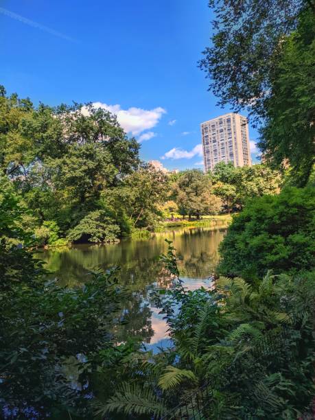 istock Lake in the city park 1268876390