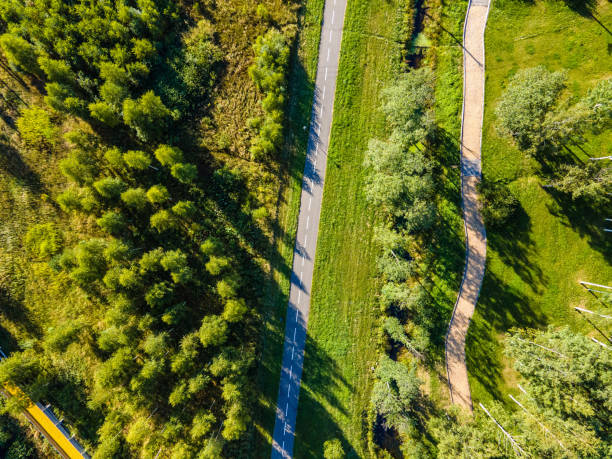 istock Green park with footpath. Aerial shot. Directly above 1268884684