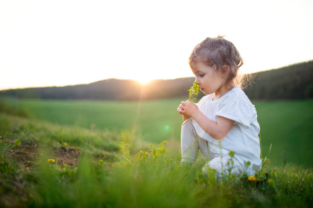 istock Small toddler girl on meadow outdoors in summer. Copy space. 1268889461