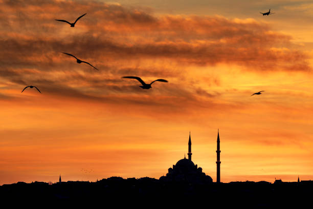 atardecer en estambul, turquía. estambul, anteriormente conocida como bizancio y constantinopla, es la ciudad más poblada de turquía y el centro económico, cultural e histórico del país. - sunset in islamic country fotografías e imágenes de stock