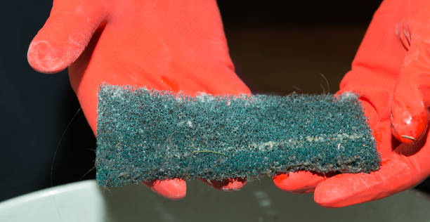 istock The process of cleaning a room with a vacuum cleaner with an aquafilter. Dirty diffuser filter after cleaning and dismantling. 1268896592