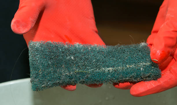 istock The process of cleaning a room with a vacuum cleaner with an aquafilter. Dirty diffuser filter after cleaning and dismantling. 1268896620