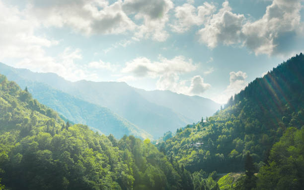 森の山々の風景を持つ美しい湖 - stanislaus national forest ストックフォトと画像