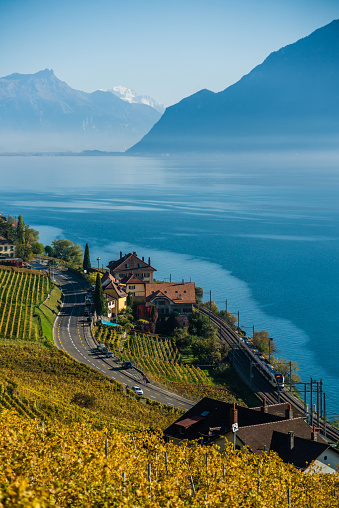 Lavaux vineyards in Lausanne / Switzerland