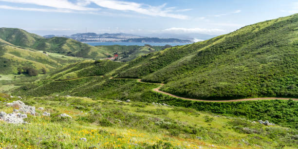 Spring Stroll The Miwok Trail leads down a valley, with the Golden Gate and San Francisco in the distance. Marin Headlands, California, USA marin county stock pictures, royalty-free photos & images