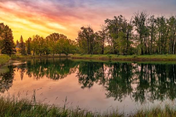 istock Sunrise Sky Reflecting In A Park Lake 1268908593
