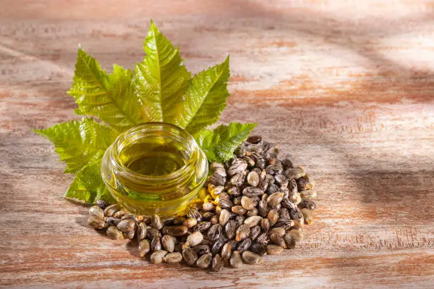 Photo of castor oil and seeds