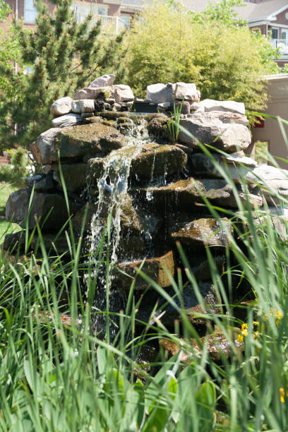 istock Close up of a beautiful rock garden 1268930061