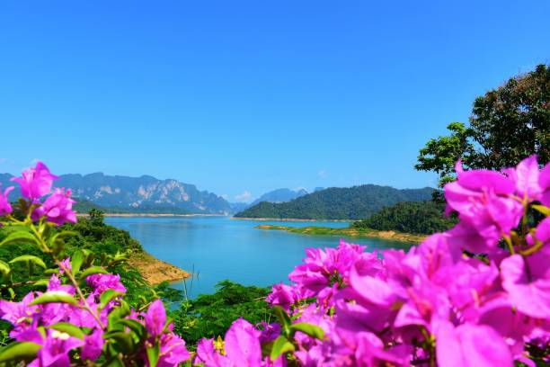 istock ratchaprapha dam khao sok national park 1268931219