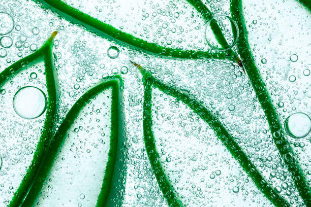 青灰色緑のアロエベラピンク透明化粧クリームジェルレチノール白と多色の背景に分離された泡と血清の質感 - peptide ストックフォトと画像