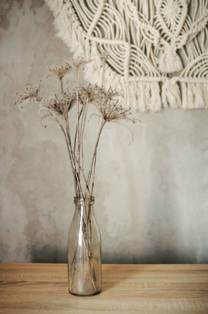 istock dry flowers braided with cobwebs on a brick wall background 1268932263